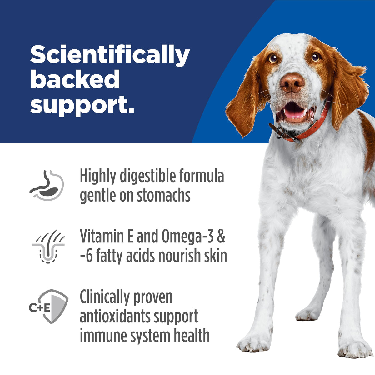 Hill's Science Diet Sensitive Stomach offers scientifically backed support for dogs with sensitive digestions. Perfect for daily use, available at Curat Cart.