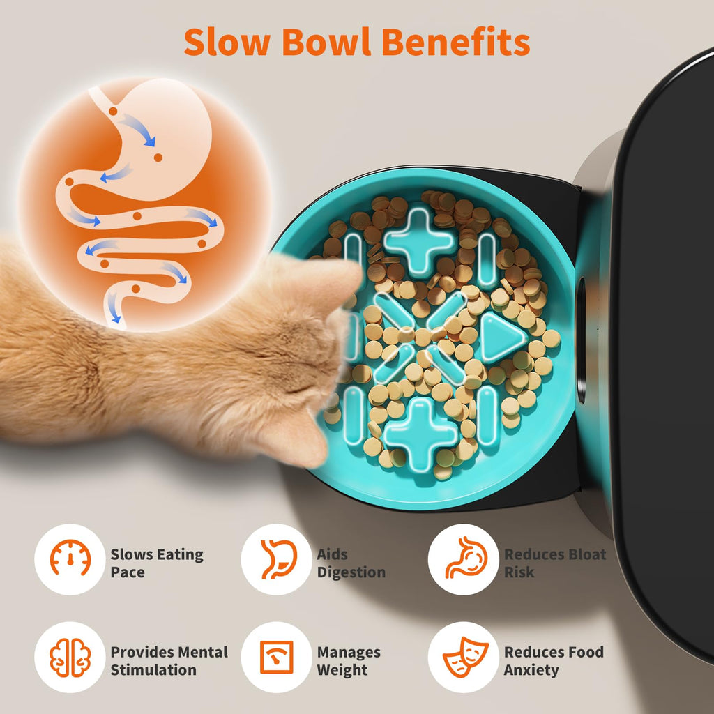 Discover the HoneyGuaridan Automatic Cat Feeder with slow bowl benefits, specially curated by Curat Cart for your feline's health.