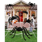 Transform your home this Halloween with the HOPOCO Halloween Plush Spider Set, featuring high-quality plush spiders in official packaging from Curat Cart.
