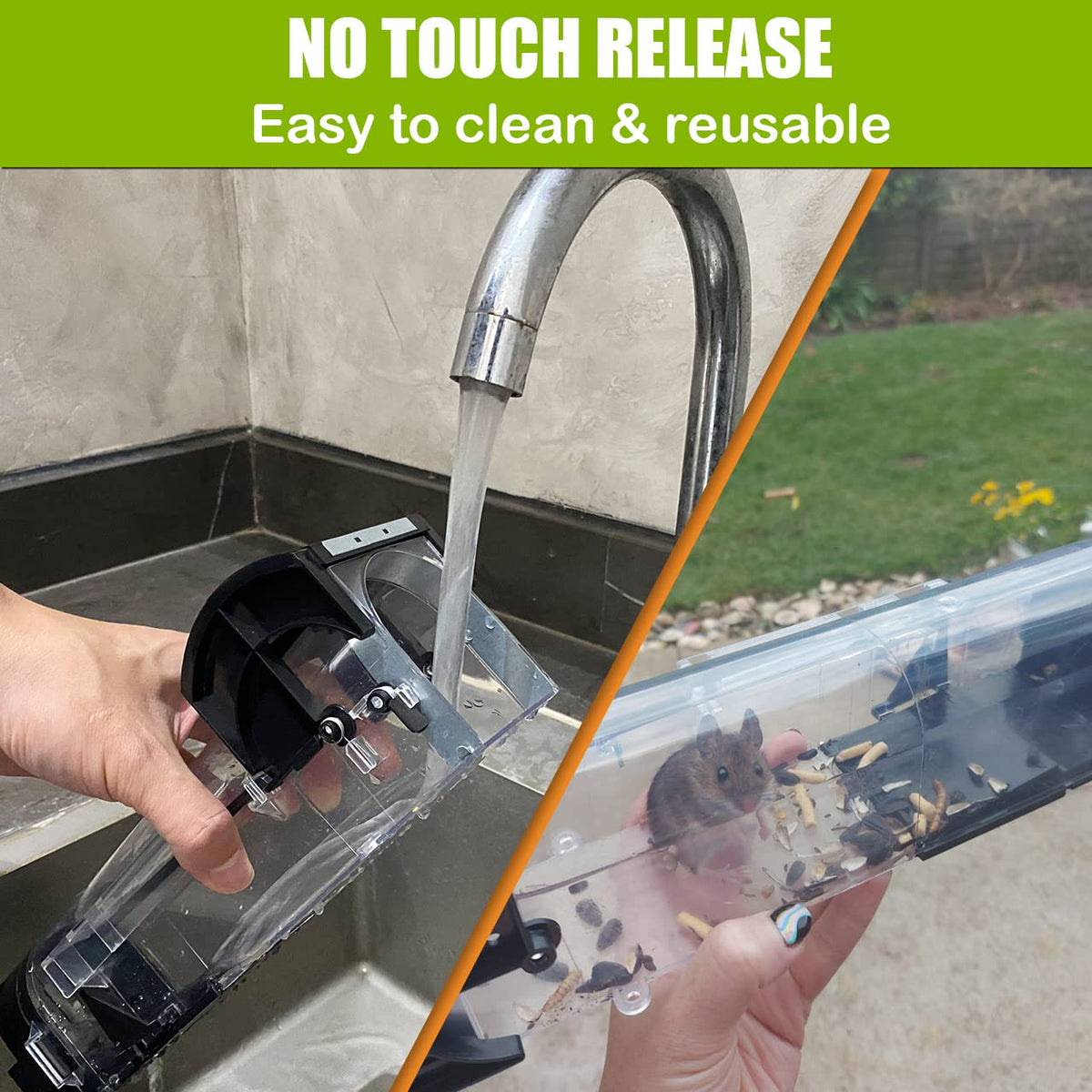 Humane mouse trap with no-touch release, easy to clean and reusable. 100% Authentic, available in India at Curat Cart.