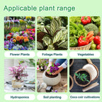 Explore the premium imported A&B Nutrients Hydroponic Plant Food, perfect for flowers, foliage, vegetables, and more. Available at Curat Cart.