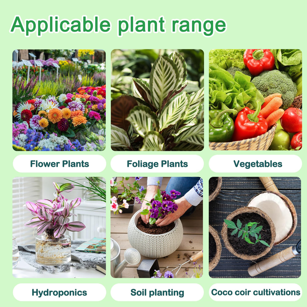 Explore the premium imported A&B Nutrients Hydroponic Plant Food, perfect for flowers, foliage, vegetables, and more. Available at Curat Cart.