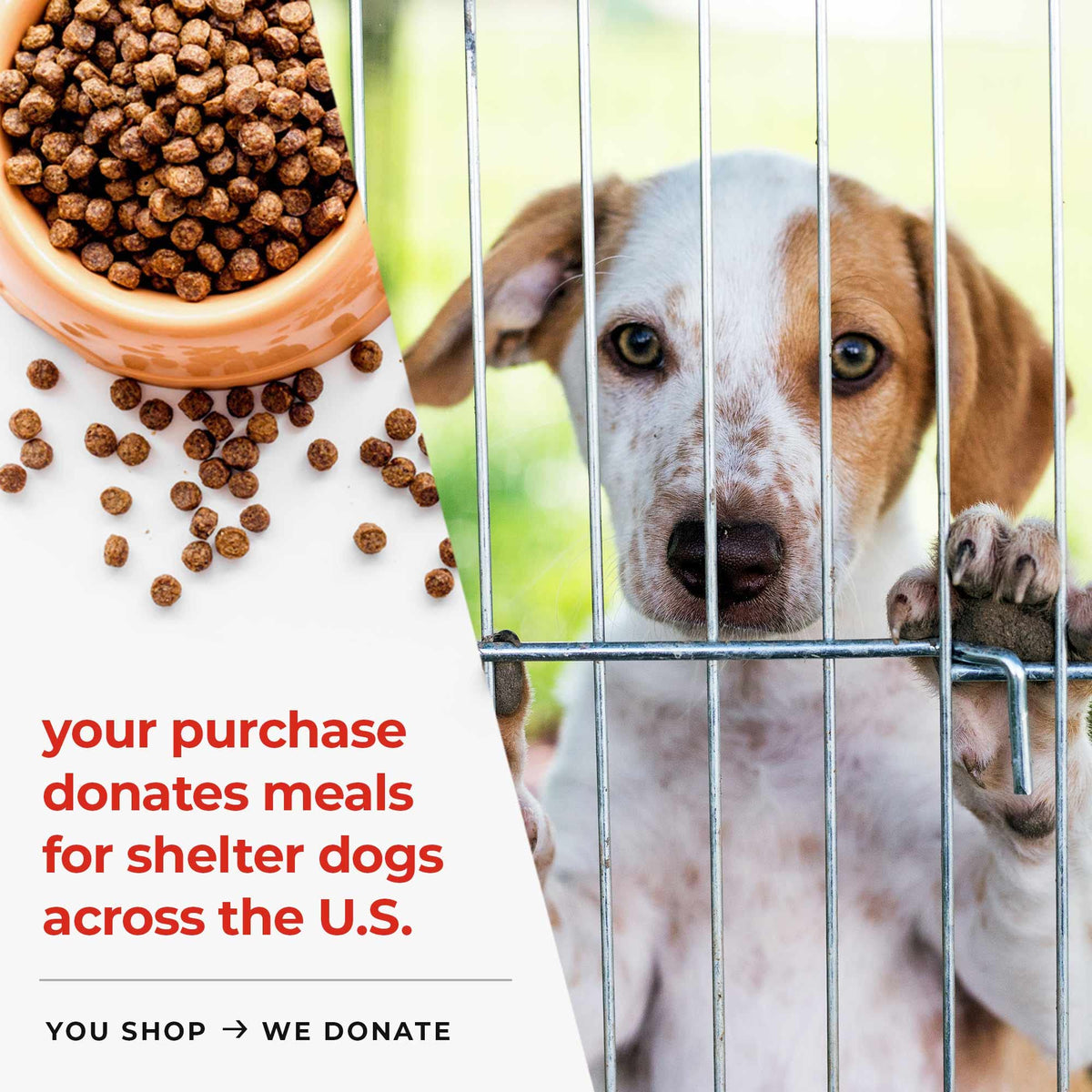The iHeartDogs Guardian Angel Solar Light features high-quality materials, enhancing any outdoor space. Available at Curat Cart.