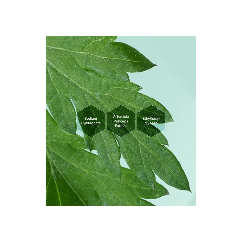 Discover the benefits of I'm From Mugwort Essence, 100% Authentic and available in India at Curat Cart. Experience nature's healing touch.