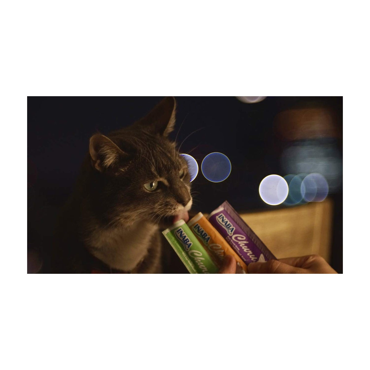 Delicious INABA Churu Lickable Purée Treats for cats, 100% Authentic and available in India at Curat Cart.