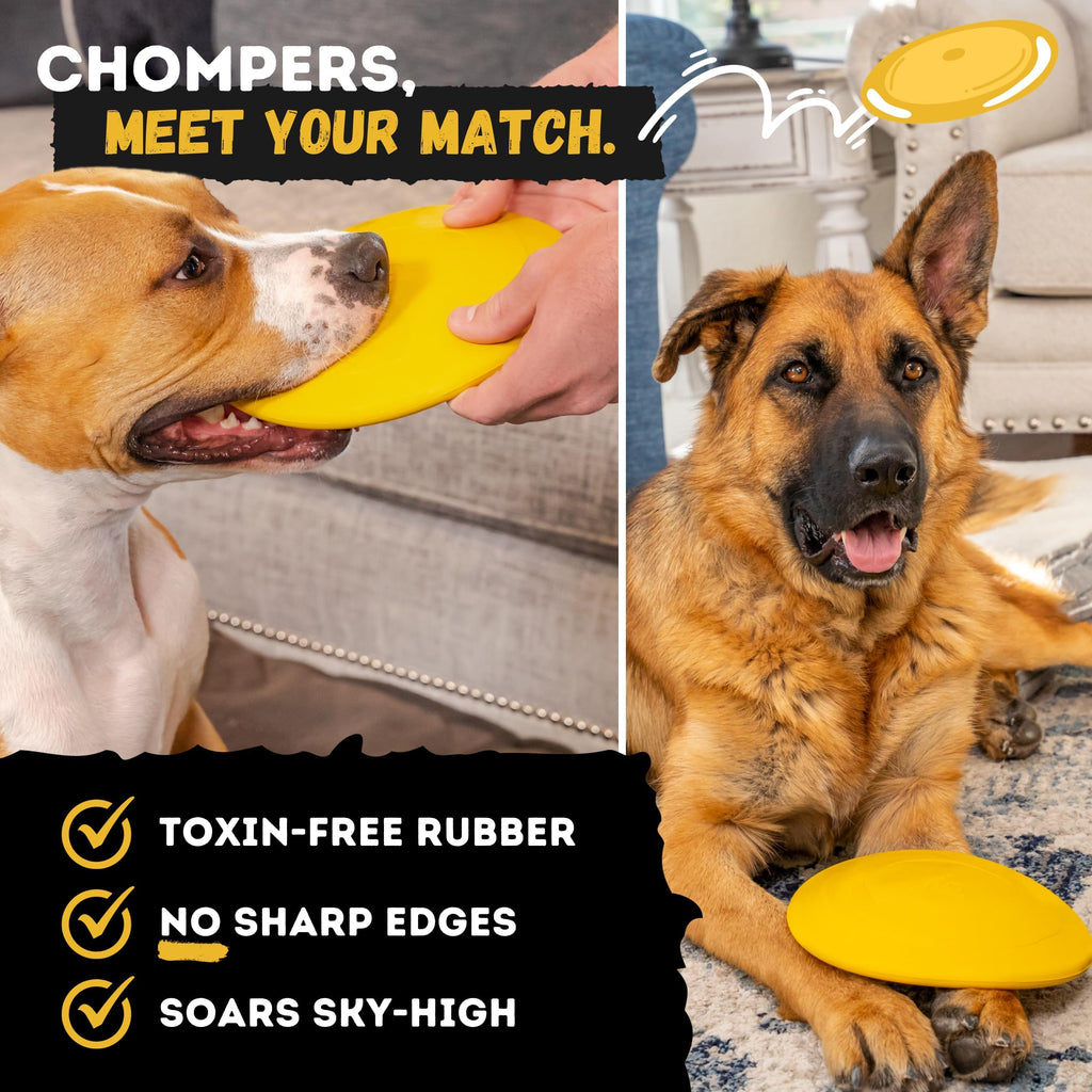Durable indestructible dog disc toy in toxin-free rubber, showcased in official packaging. Available at Curat Cart.