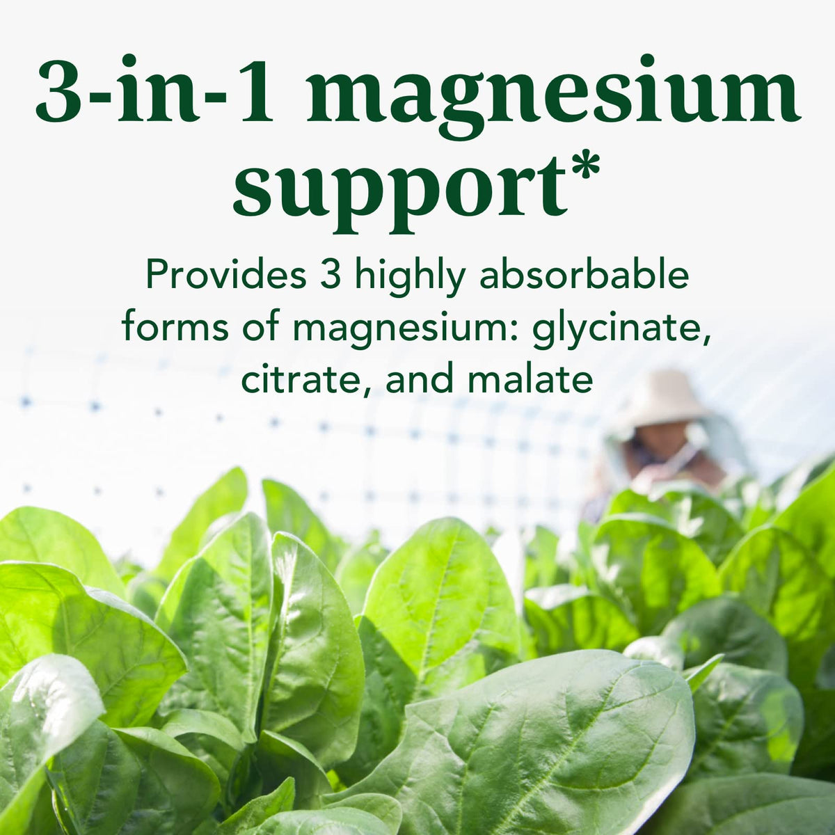 Discover the Innate Response Magnesium Complex, offering 3 absorbable forms for optimal health. Specially curated by Curat Cart.