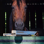 High-quality Ivermax Ivermectin Equine Paste in official packaging, designed for effective horse treatment. Available at Curat Cart.