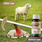 Ivermectin Liquid for Sheep Goat in high-quality packaging, showcasing effective treatment results. Available at Curat Cart.
