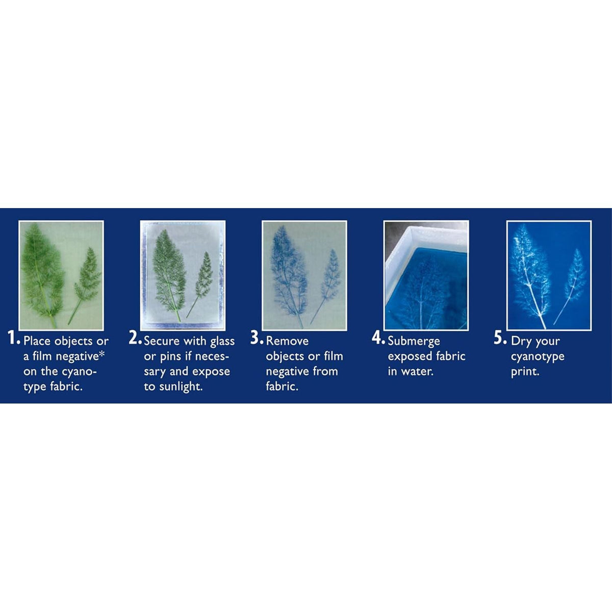 Premium imported Jacquard Cyanotype Sensitizer Set, showcasing step-by-step instructions for creating beautiful cyanotype prints.