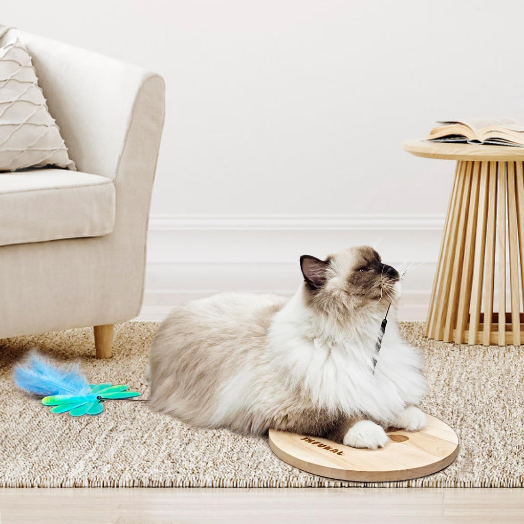 The JXFUKAL Interactive Cat Toy promotes active play with a premium design, perfect for engaging your feline friend. Available at Curat Cart.
