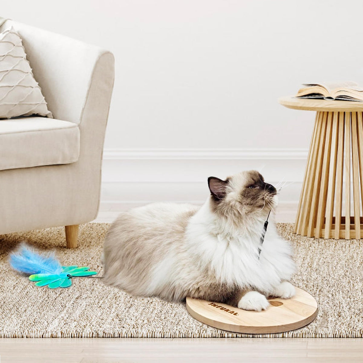 The JXFUKAL Interactive Cat Toy promotes active play with a premium design, perfect for engaging your feline friend. Available at Curat Cart.