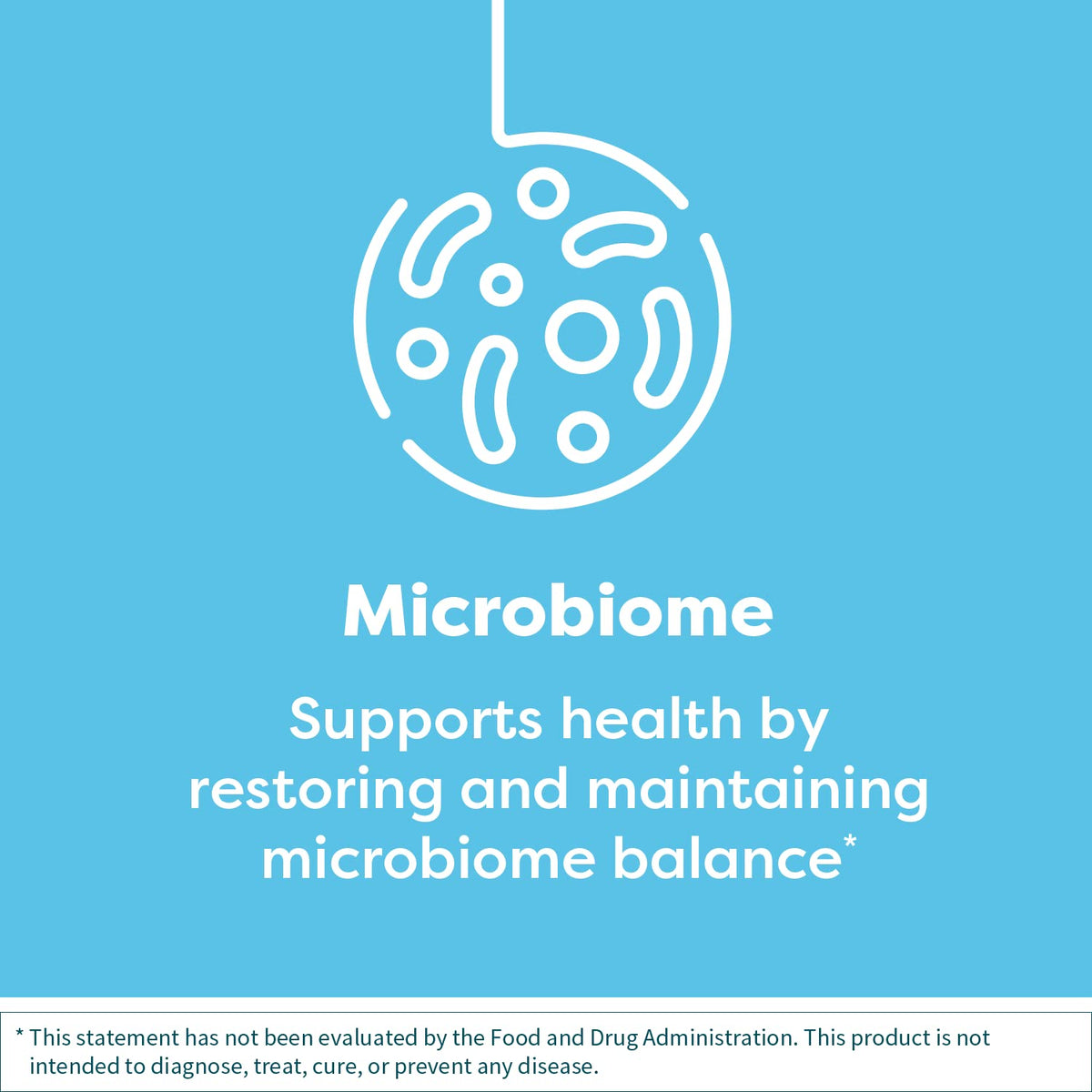 Klaire Labs Vital-Zymes Chewable Enzymes in official packaging, promoting microbiome health and balance. Available at Curat Cart.