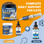 Boost your cat's immune health with L-Lysine from Curat Cart, specially curated for daily wellness and support. Shop now.