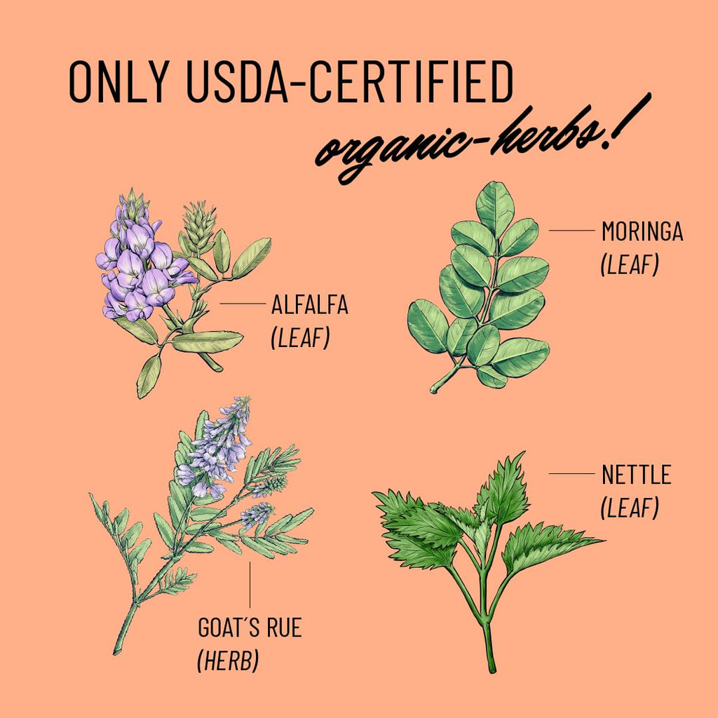 Discover the power of Legendairy Milk Lactation Supplement, featuring USDA-certified organic herbs like Moringa and Alfalfa. Perfect for daily use. Shop at Curat Cart.