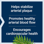 Experience Life Extension Arterial Protect, specially curated by Curat Cart to support cardiovascular health and blood flow.