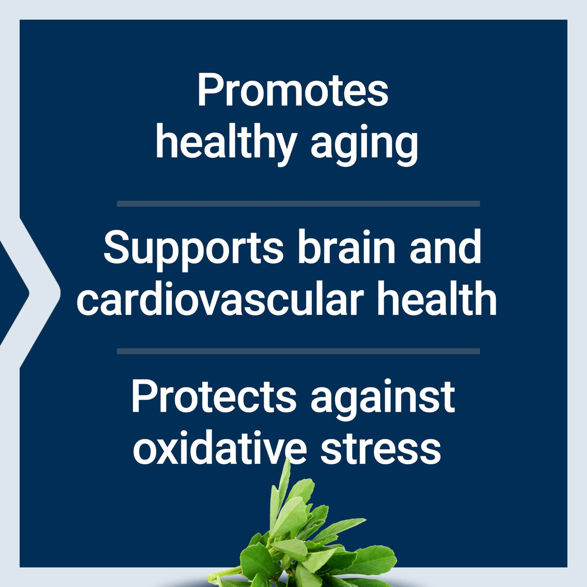 Discover Life Extension Resveratrol Elite, specially curated by Curat Cart for healthy aging, brain, and cardiovascular support.