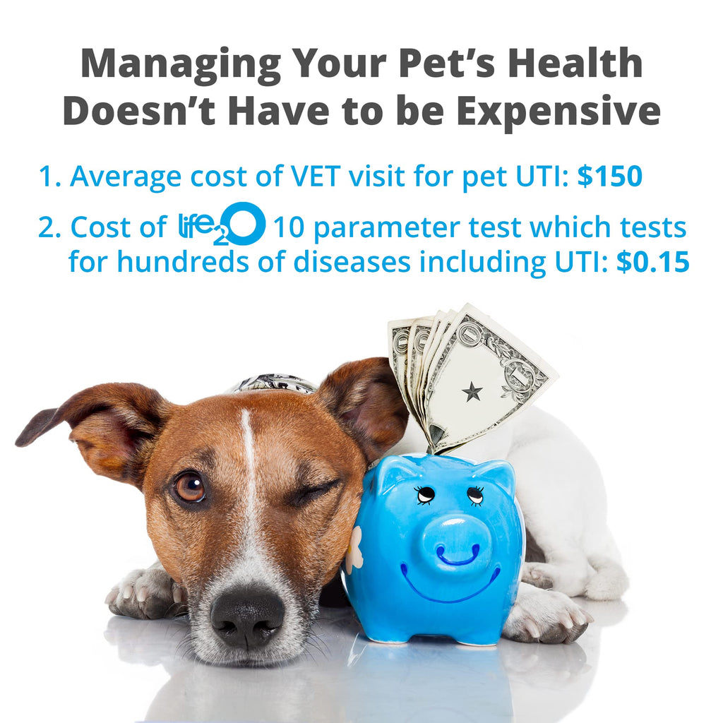 Informative infographic highlighting cost savings with life2O Cat & Dog Urine Test Strips. Available at Curat Cart.