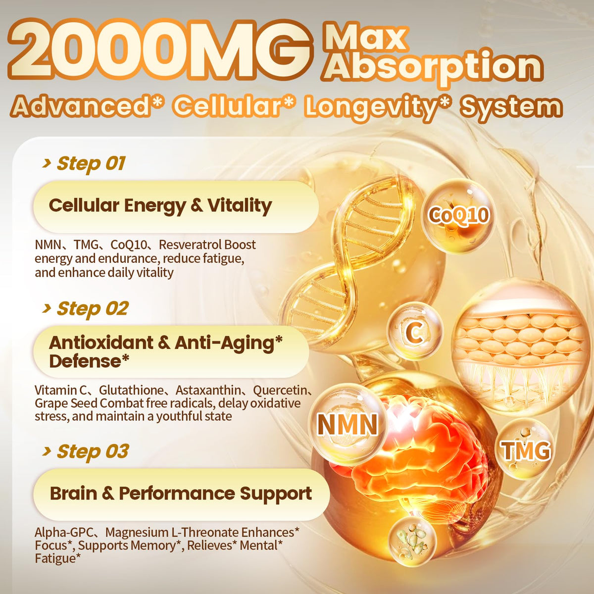 Discover our Liposomal NMN Supplement 2000mg, verified by CuratCart for maximum absorption and longevity benefits.