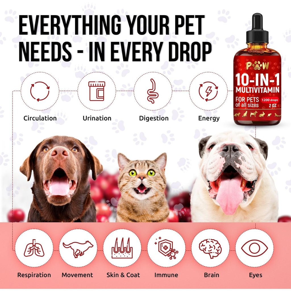 Premium liquid multivitamin for dogs in official packaging by Curat Cart, supporting circulation, digestion, and overall energy.
