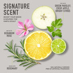 Discover the premium imported Lustrous Rituals Buildable Tone Shampoo, featuring a signature scent of green parsley, crisp apple, and bright citrus. Available at Curat Cart.