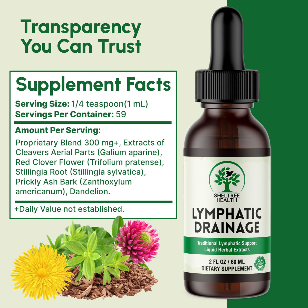 Specially curated by Curat Cart, Lymphatic Drainage Drops enhance your wellness with herbal extracts in a trusted 2 oz bottle.