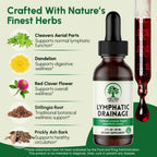 Lymphatic Drainage Drops from Curat Cart, crafted with herbal extracts for natural wellness support. Perfect for daily use.