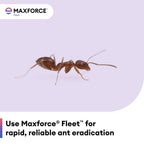 Maxforce Ant Bait Gel in official packaging, designed for effective ant eradication. Available at Curat Cart.
