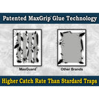 MaxGuard MaxGrip Glue Traps offer superior catch rates. Specially curated by Curat Cart for effective pest control solutions.