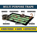 MaxGuard MaxGrip Glue Traps effectively capture snakes, mice, and more. Perfect for pest control at home. Available at Curat Cart.