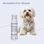 MiconaHex Triz Mousse in official packaging, offering antimicrobial and moisturizing benefits for dogs, available at Curat Cart.