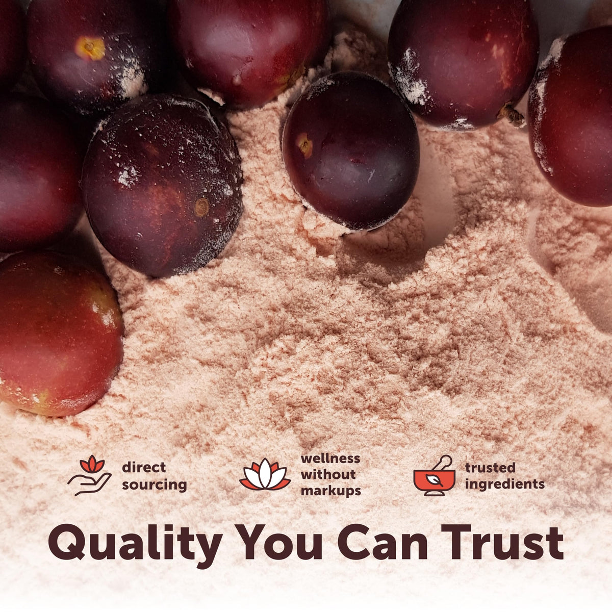 Micro Ingredients Organic Camu Camu Powder offers premium quality for daily wellness. Perfect for enhancing your nutritional routine. Available at Curat Cart.