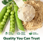 Micro Ingredients Pea Protein Powder, a premium imported product, offers trusted ingredients for quality nutrition. Available at Curat Cart.