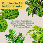 Specially curated by Curat Cart, Miracle-Gro Indoor Potting Mix is perfect for all indoor plants, including houseplants and flowering varieties.