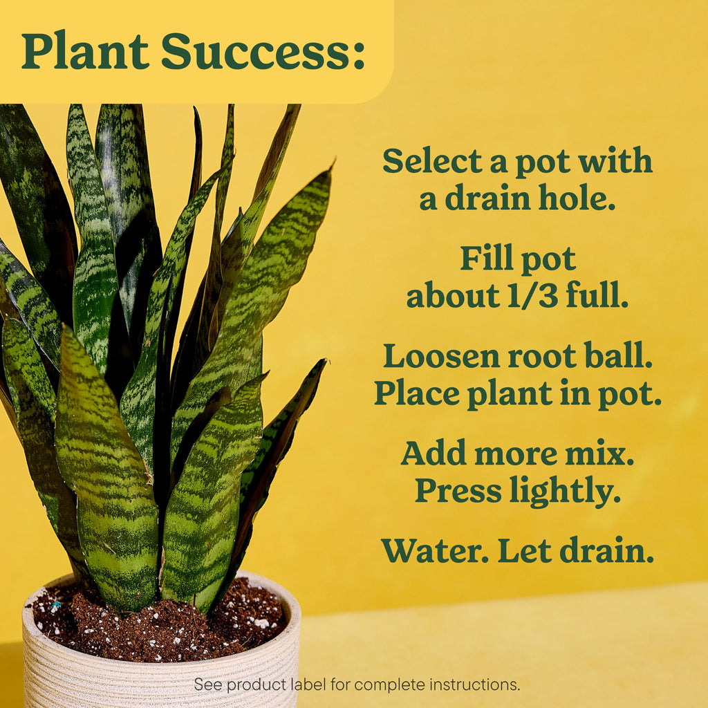 Achieve plant success with Miracle-Gro Indoor Potting Mix. Perfect for thriving indoor plants. Available at Curat Cart.