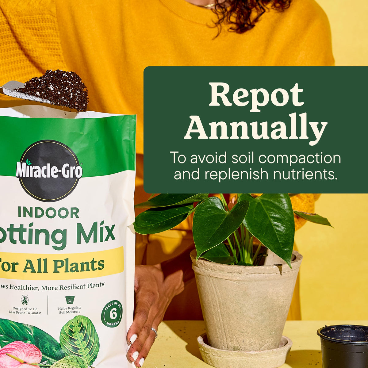 Miracle-Gro Indoor Potting Mix ensures healthier plants, available in India at Curat Cart. 100% Authentic for all plant needs.