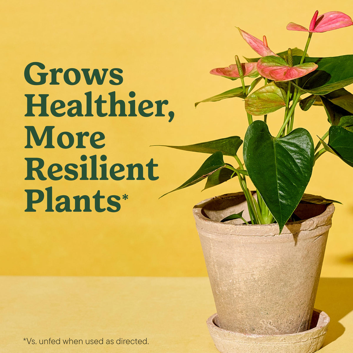 Specially curated by Curat Cart, Miracle-Gro Indoor Potting Mix promotes healthier, resilient plants for your home garden.