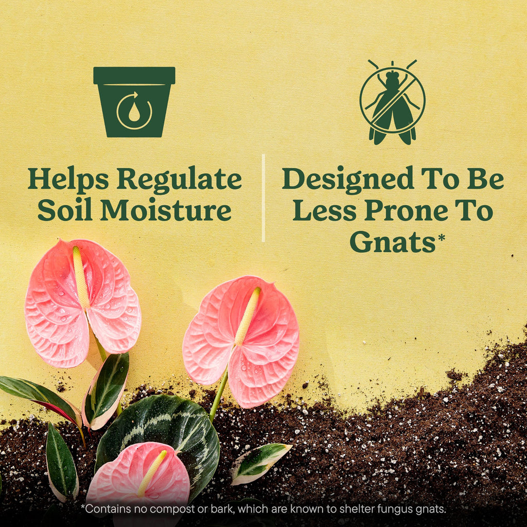 Discover Miracle-Gro Indoor Potting Mix, a premium import designed to regulate soil moisture and reduce gnats. Available at Curat Cart.