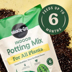 Miracle-Gro Indoor Potting Mix in official packaging, designed for all plants, feeds up to 6 months. Available at Curat Cart.