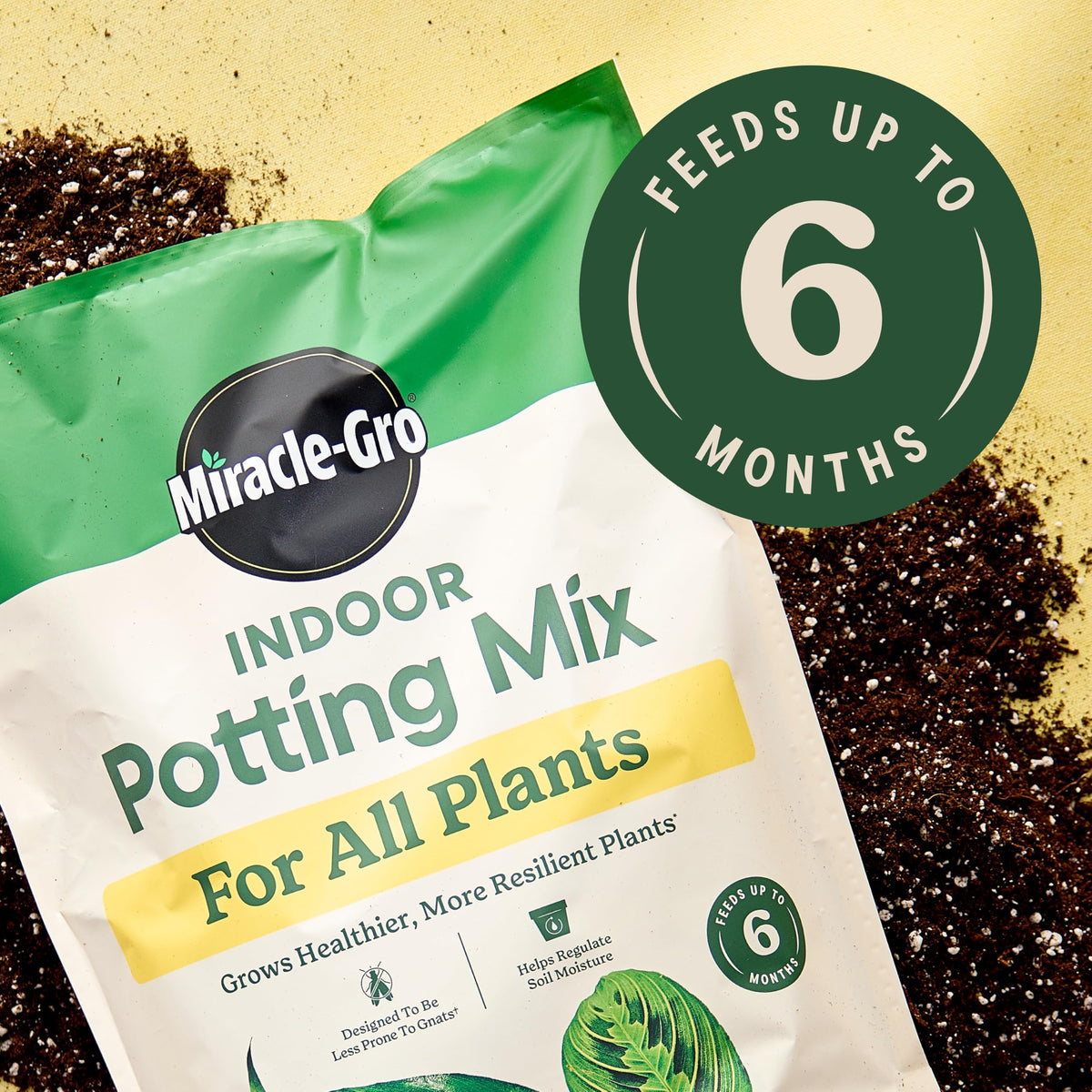 Miracle-Gro Indoor Potting Mix in official packaging, designed for all plants, feeds up to 6 months. Available at Curat Cart.
