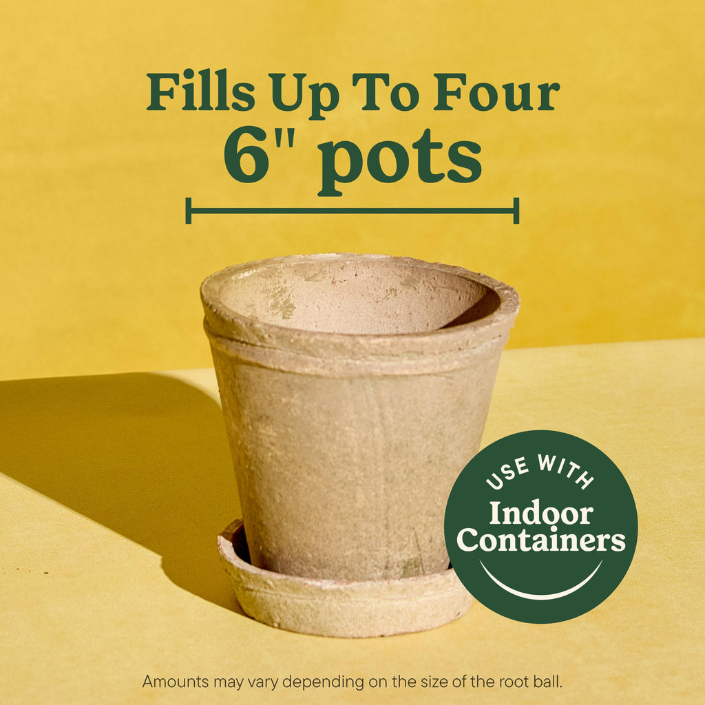Upgrade your indoor gardening with Miracle-Gro Indoor Potting Mix, filling up to four 6" pots. Available at Curat Cart.