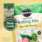 Miracle-Gro Indoor Potting Mix for all plants, 100% Authentic, available in India at Curat Cart. Ensures healthier growth.