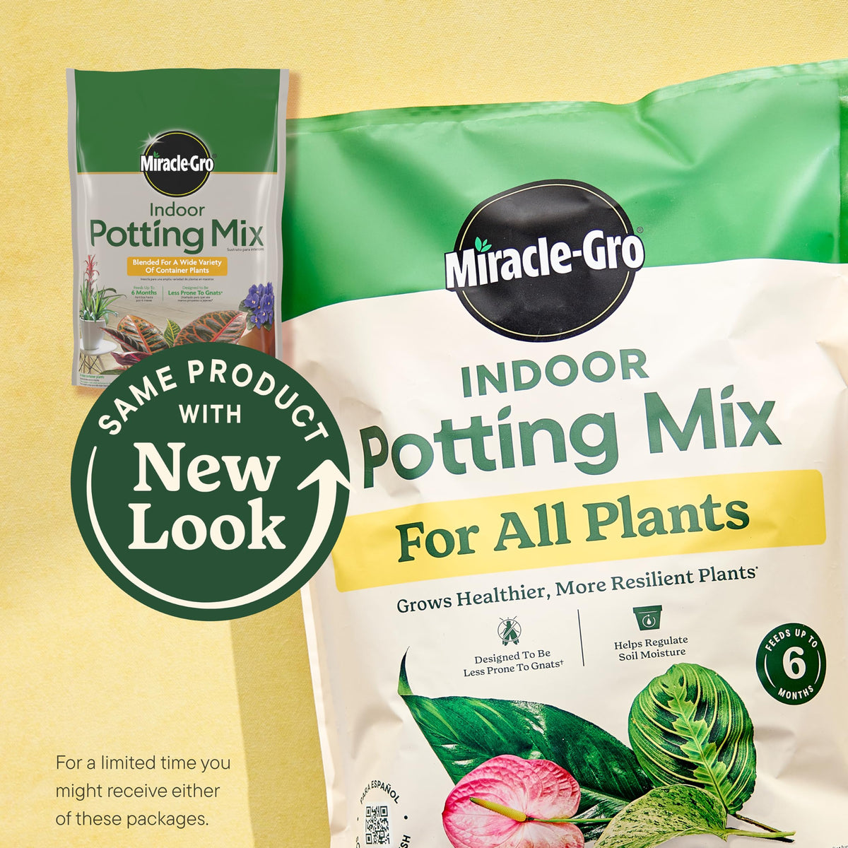 Miracle-Gro Indoor Potting Mix for all plants, 100% Authentic, available in India at Curat Cart. Ensures healthier growth.