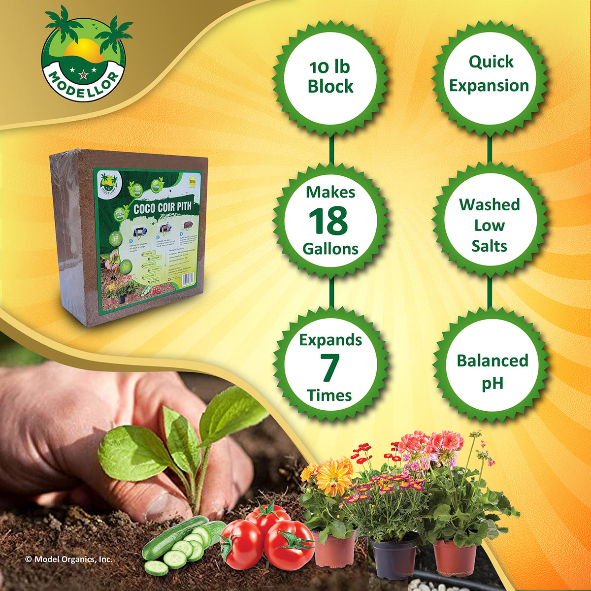 MODELLOR Premium Coco Coir Brick, specially curated by Curat Cart for optimal plant growth, expands 7 times and balances pH.
