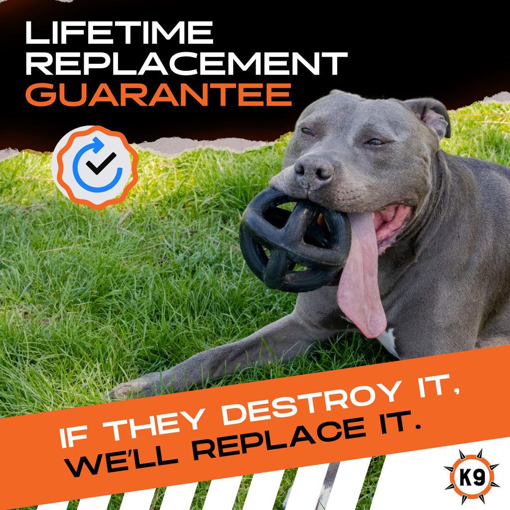 Durable Monster K9 Ring Ball in use by a dog, 100% Authentic, Available in India at Curat Cart. Guaranteed lifetime replacement.