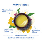 Motherlove Everyday Baby Balm in high-quality packaging, featuring natural ingredients like marshmallow root and chamomile. Available at Curat Cart.