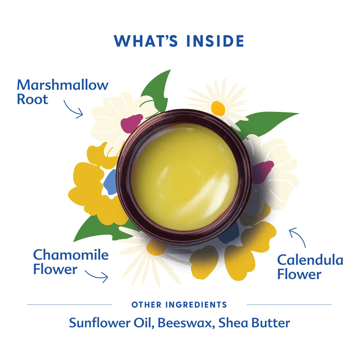 Motherlove Everyday Baby Balm in high-quality packaging, featuring natural ingredients like marshmallow root and chamomile. Available at Curat Cart.
