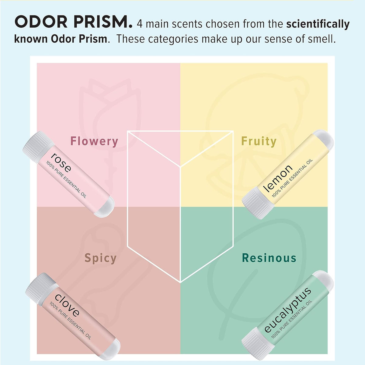 Premium imported MOXÄ’ Smell Training Kit featuring four essential oils: rose, clove, lemon, and eucalyptus for scent enhancement.