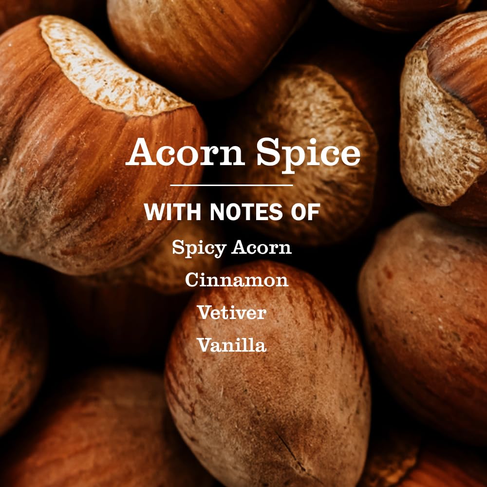 Discover Mrs. Meyer's Clean Day Scented Oil in Acorn Spice, featuring warm notes of acorn, cinnamon, and vanilla. 100% Authentic, available at Curat Cart.