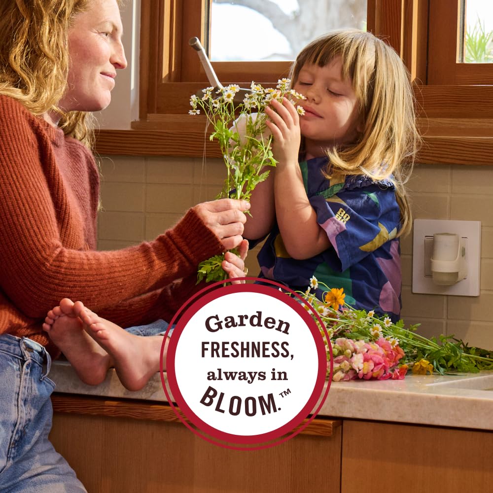 Experience Mrs. Meyer's Clean Day Scented Oil in official packaging, offering garden-fresh scents. Available at Curat Cart.
